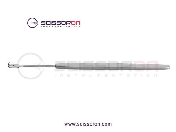 Rollet Retractor 2 Sharp Prongs