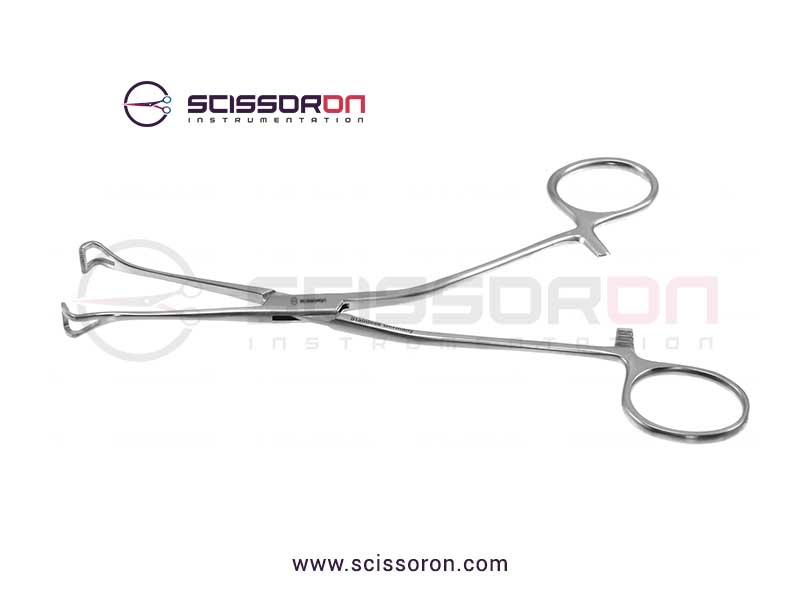 Allis-Babcock tissue forceps_01