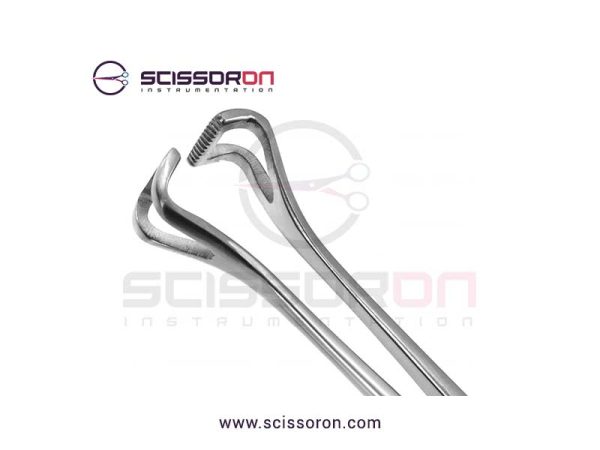Allis-Babcock tissue forceps_02