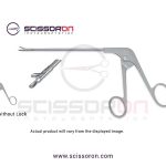 Biopsy Rongeur_01