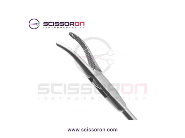 Kleinsasser micro laryngeal alligator forcepsCurvedRight_02