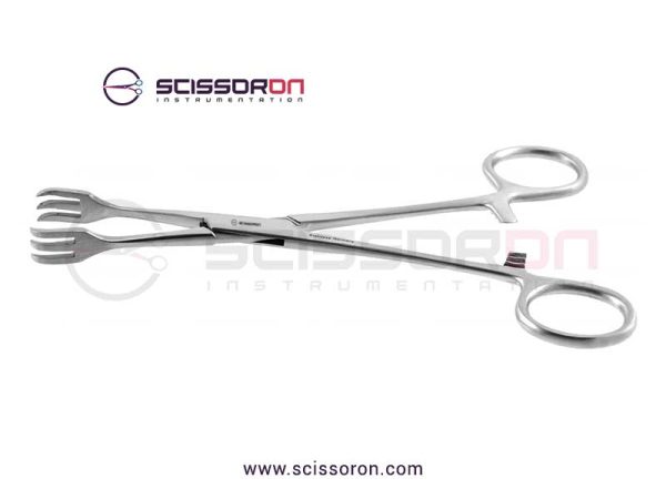 Lahey goiter vulsellum forceps_01