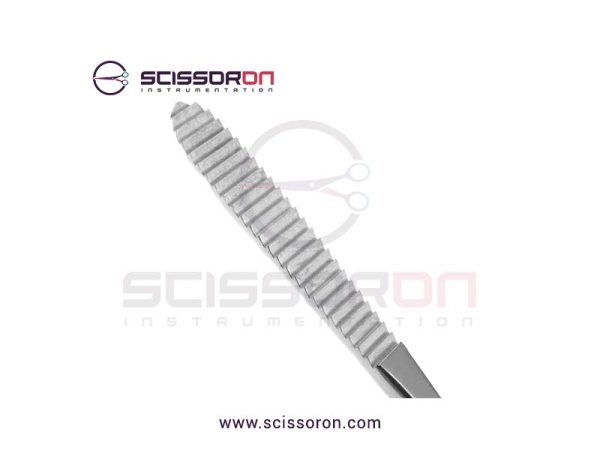 Brown Rasp Forward Cutting Surface