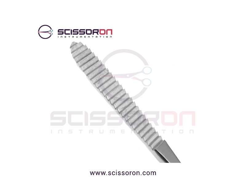 Brown Rasp Forward Cutting Surface