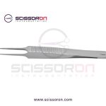 Dilator Forceps 0.3MM TC Dust Straight Jaws