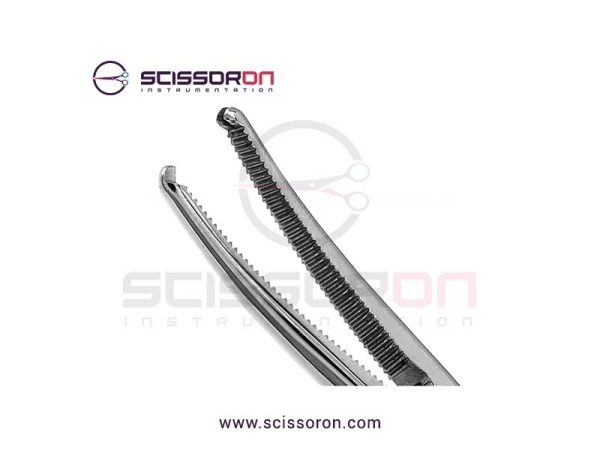 Vascular Mosquito Forceps 1x2 Teeth Curved Jaws-02
