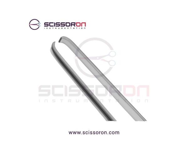 Davis Tissue Forceps Teeth End