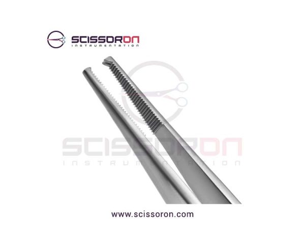 Curtis Tissue Forceps with 1x2 Teeth End