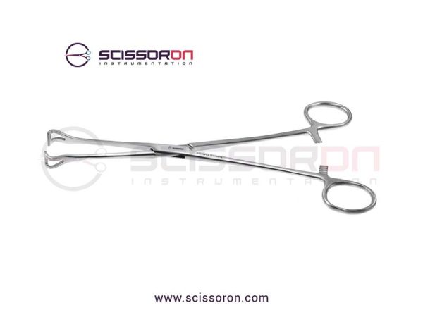 Babcock Tissue Forceps