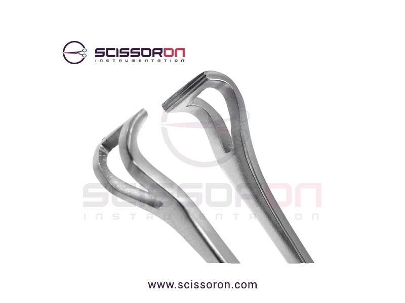 Babcock Tissue Forceps Teeth End Jaws