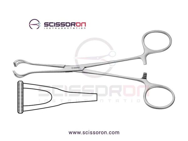 Glassman-Babcock Atrauma Forceps