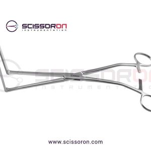 Glassman-Anterior-1