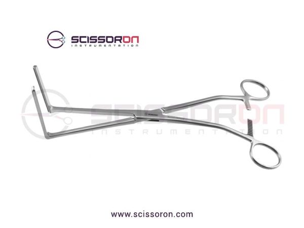 Glassman-Anterior-1