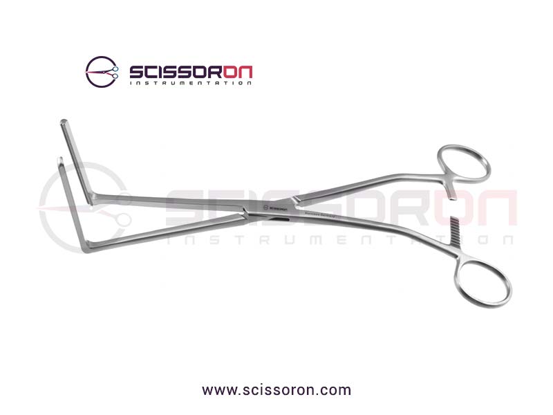Glassman-Anterior-1