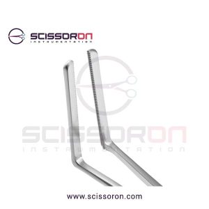 Glassman-Anterior-2