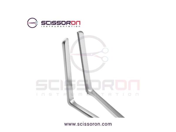 Glassman-Anterior-2