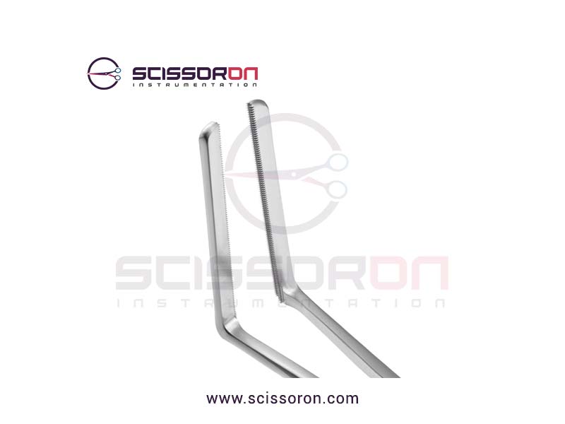 Glassman-Anterior-2