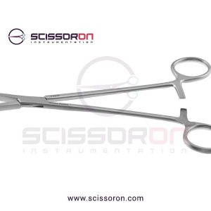 LeRoy-Scalp-1