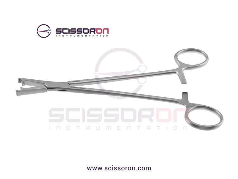 LeRoy-Scalp-1