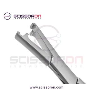 LeRoy-Scalp-2