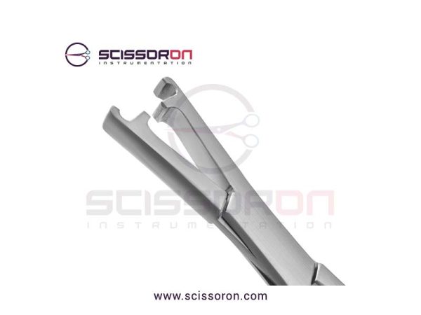 LeRoy-Scalp-2