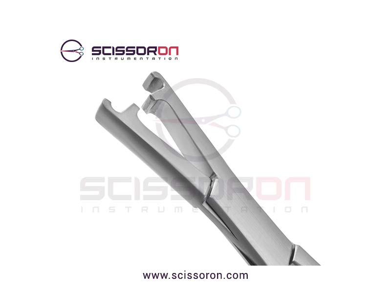 LeRoy-Scalp-2