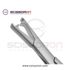 LeRoy-Scalp-3