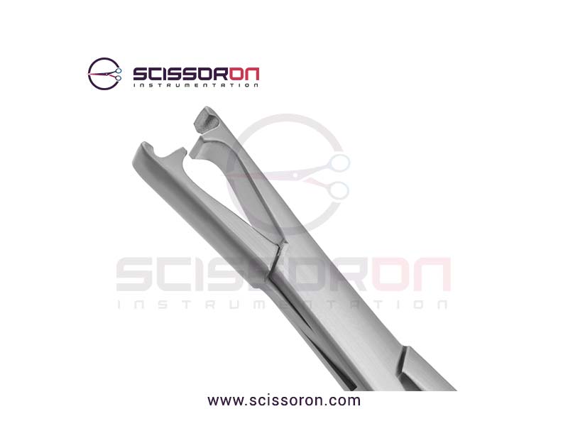 LeRoy-Scalp-3