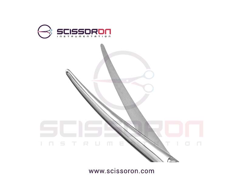 Mayo-Lexer-Scissor-4