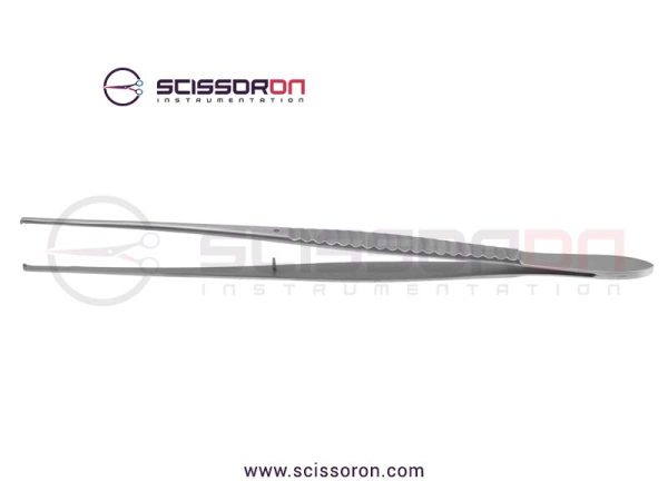 AA-0909-081-1