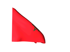 Morocco_240-animated-flag-gifs morocco-flag-animation